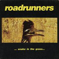 Roadrunners : Snake in the Grass